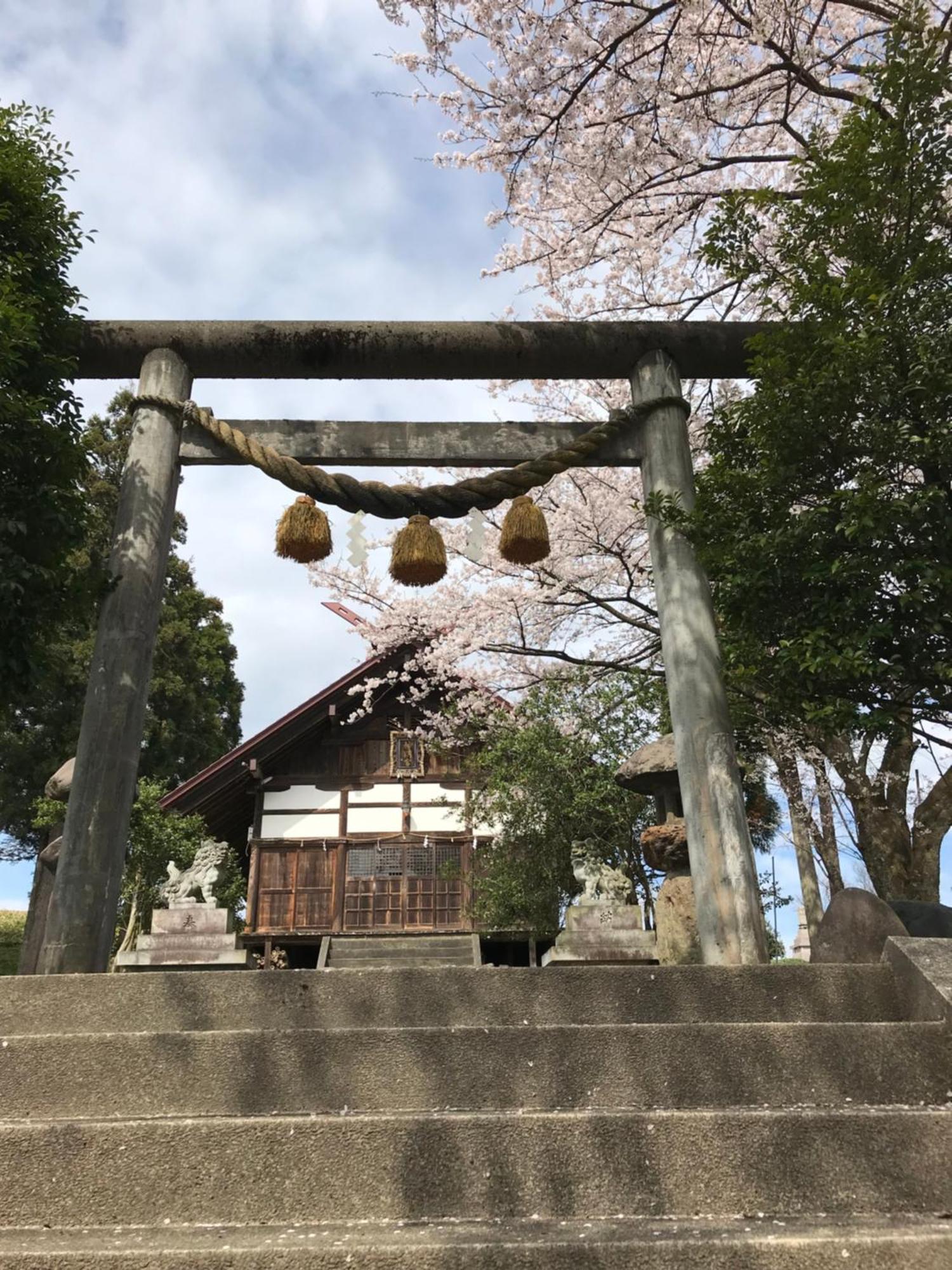 ヨーコのお宿 わくわく Тояма Экстерьер фото
